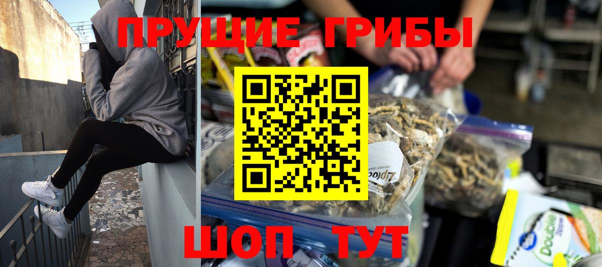 Псилоцибиновые грибы Psilocybine cubensis  Вход с VPN  Джанкой 