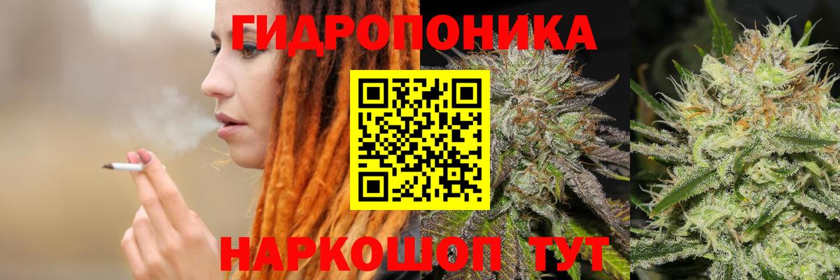 Шишки марихуана White Widow Джанкой